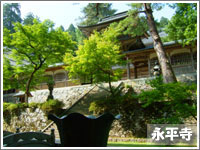 ��������@���ӊό��{�݂̉i����